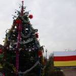 Новогодние елки в Цхинвале