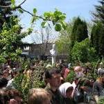 Православные Южной Осетии празднуют Вербное воскресенье