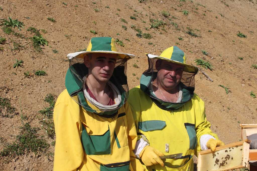 Для меня пчеловодство это не бизнес, а хобби: югоосетинский пчеловод о ...