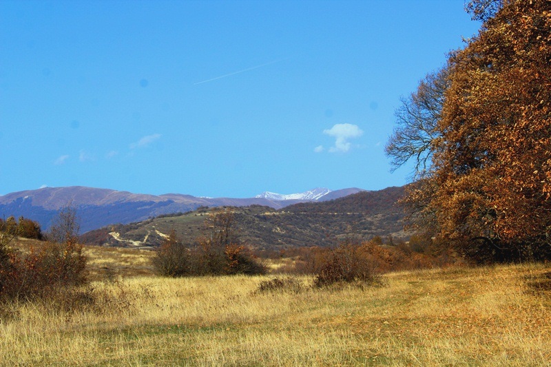 Цхинвальский район фото