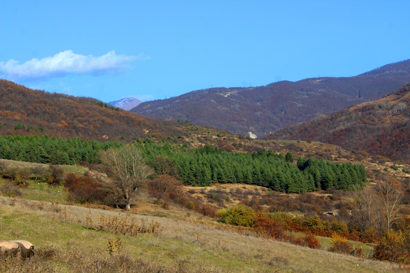 Цхинвальский район фото