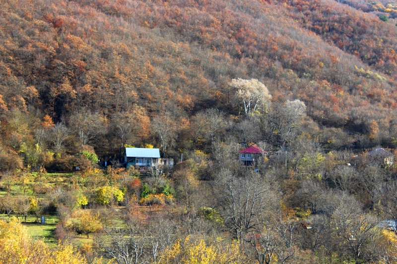 Цхинвальский район фото