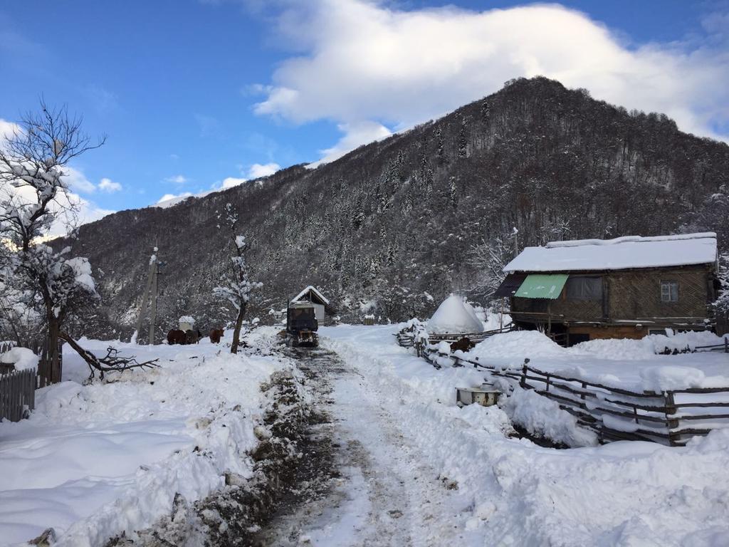 Джава в южной осетии фото