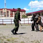 Пограничное управление осетия. Южная Осетия пограничные заставы. Хетагурово Южная Осетия. Пограничная застава Цхинвал.