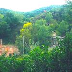 Приграничное село Цнелис