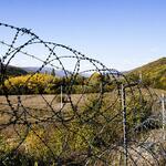 Фото: Спутник-Южная Осетия